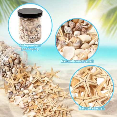 Popokk مختلطة شاطئ الصدف نجم البحر قذائف البحر الصغيرة مختلطة المحيط شاطئ الصدف، نجم البحر الطبيعي لديكورات المنزل، حزب موضوع الشاطئ، صناعة الشموع، ديكور الزفاف، الحرف اليدوية DIY، خزان الأسماك و in Kuwait