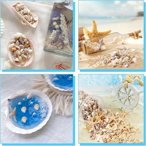 Popokk مختلطة شاطئ الصدف نجم البحر قذائف البحر الصغيرة مختلطة المحيط شاطئ الصدف، نجم البحر الطبيعي لديكورات المنزل، حزب موضوع الشاطئ، صناعة الشموع، ديكور الزفاف، الحرف اليدوية DIY، خزان الأسماك و in Kuwait
