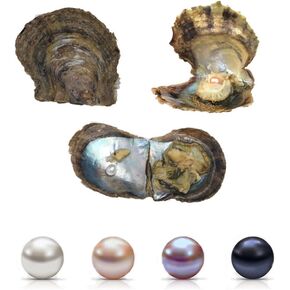 4PC Saltwater Pearl Cultured Love Wish Akoya PearlOyster with Pearl Inside for Pearl Gift Fun for Children Family Friends PartyOyster with Pearls Inside(7-8mm, 4PC) in Kuwait