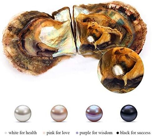 4PC Saltwater Pearl Cultured Love Wish Akoya PearlOyster with Pearl Inside for Pearl Gift Fun for Children Family Friends PartyOyster with Pearls Inside(7-8mm, 4PC) in Kuwait