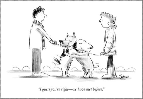 New Yorker Notecard Wallet - Dogs - 2 each of 5 iconic New Yorker cartoon cards in Saudi Arabia