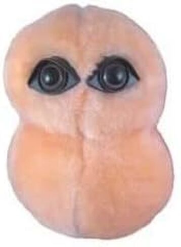 GIANTmicrobes Pneumonia Plush – Get Well Gift and Learning Science Tool for Friends, Family, Patients, Students, Doctors, Nurses, Scientists, Public Health Experts and Teachers in Saudi Arabia