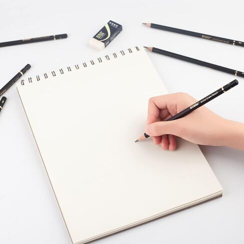 尼奥尼 Nyoni professional 4H-12B Sketch pencils set 14 different pieces Graphite pencils, 14 in total for Artist, Beginners Sketching Shading in Saudi Arabia