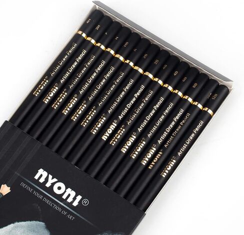 尼奥尼 Nyoni professional 4H-12B Sketch pencils set 14 different pieces Graphite pencils, 14 in total for Artist, Beginners Sketching Shading in Saudi Arabia