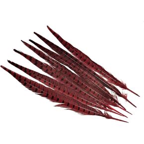 Lampu 10 Pcs 14-16 inch Red Pheasant Feathers Pheasant Tails in Kuwait