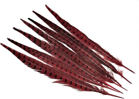 Lampu 10 Pcs 14-16 inch Red Pheasant Feathers Pheasant Tails in Kuwait