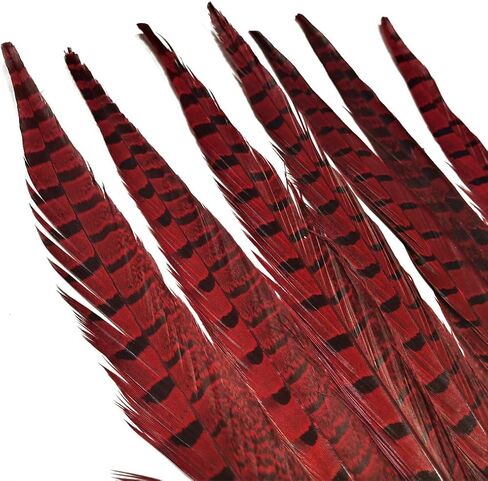 Lampu 10 Pcs 14-16 inch Red Pheasant Feathers Pheasant Tails in Kuwait