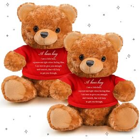 Meooeck 2 Pcs Little Bear Plush Stuffed Animal Sympathy Gifts Memory Bear with a Bear Hug Sign Funeral Gift for Kids Bereavement Comfort Child Loss of Loved One(Beige, White)