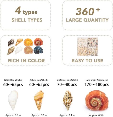 اصداف بحرية صغيرة للتزيين من 4 انواع، اصداف طبيعية بالوان غنية، اصداف بحرية للحرف اليدوية، ديكور الراتنج، فن الفسيفساء، حشو مزهرية صغيرة، زخرفة زجاجة، فن الحائط، ديكور الشاطئ in Kuwait