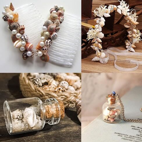 اصداف بحرية صغيرة للتزيين من 4 انواع، اصداف طبيعية بالوان غنية، اصداف بحرية للحرف اليدوية، ديكور الراتنج، فن الفسيفساء، حشو مزهرية صغيرة، زخرفة زجاجة، فن الحائط، ديكور الشاطئ in Kuwait