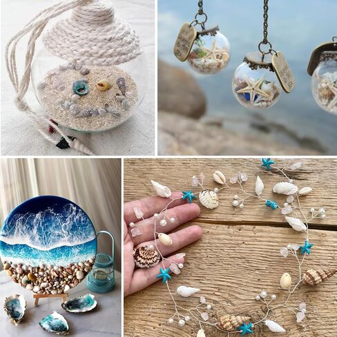 اصداف بحرية صغيرة للتزيين من 4 انواع، اصداف طبيعية بالوان غنية، اصداف بحرية للحرف اليدوية، ديكور الراتنج، فن الفسيفساء، حشو مزهرية صغيرة، زخرفة زجاجة، فن الحائط، ديكور الشاطئ in Kuwait