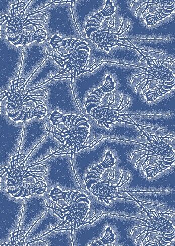 Japanese Patterns: Gift & Creative Paper Book Vol.40 (Multilingual Edition) in Saudi Arabia