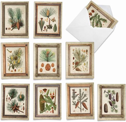 The Best Card Company 10 Assorted Thank You Notecards Bulk Box Set 4 x 5.12 Inch with Envelopes (10 Designs, 1 Each) High Notes M2059 in Kuwait