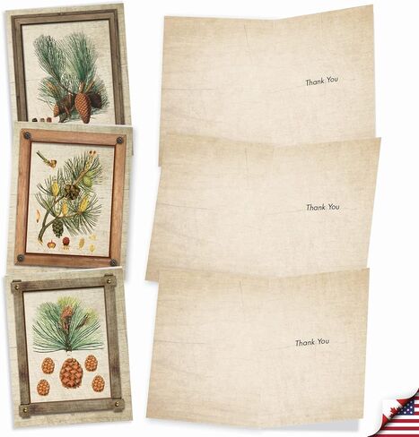 The Best Card Company 10 Assorted Thank You Notecards Bulk Box Set 4 x 5.12 Inch with Envelopes (10 Designs, 1 Each) High Notes M2059 in Kuwait