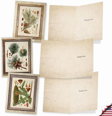 The Best Card Company 10 Assorted Thank You Notecards Bulk Box Set 4 x 5.12 Inch with Envelopes (10 Designs, 1 Each) High Notes M2059 in Kuwait