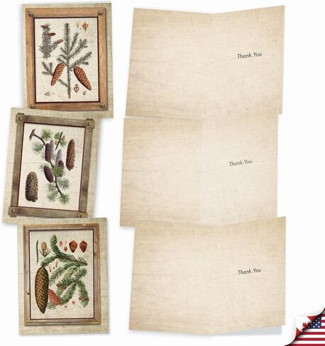 The Best Card Company 10 Assorted Thank You Notecards Bulk Box Set 4 x 5.12 Inch with Envelopes (10 Designs, 1 Each) High Notes M2059 in Kuwait