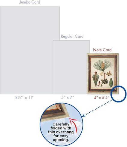 The Best Card Company 10 Assorted Thank You Notecards Bulk Box Set 4 x 5.12 Inch with Envelopes (10 Designs, 1 Each) High Notes M2059 in Kuwait