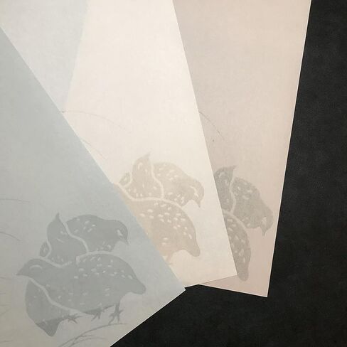 ورق مينو واشي الياباني التقليدي، مجموعة متنوعة للمبتدئين مقاس A4 (21 سم × 29.7 سم) 30 ورقة (6 أنماط × 5 ورقات) in Kuwait