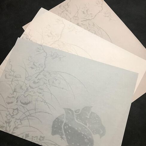 ورق مينو واشي الياباني التقليدي، مجموعة متنوعة للمبتدئين مقاس A4 (21 سم × 29.7 سم) 30 ورقة (6 أنماط × 5 ورقات) in Kuwait