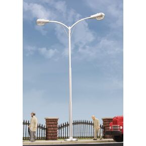 Double-Arm Tear Drop Street Light
