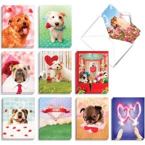 The Best Card Company - 20 Boxed Dog Cards with Envelopes (4 x 5.12 Inch) - Blank Assortment (10 Designs, 2 Each) - The Flying K9 AM6448OCB-B2x10