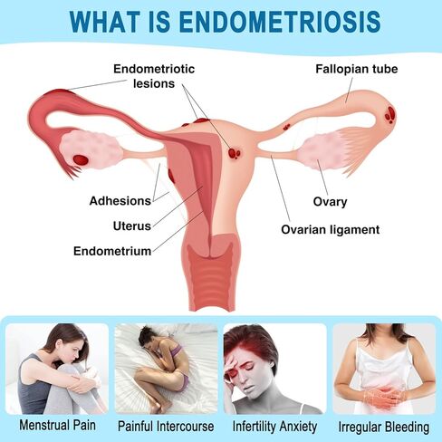 مجموعة راتنجات الإيبوكسي للمبتدئين من جي ديكشن، مجموعة أدوات المبتدئين من الراتنج الشفاف الكريستالي 10 أونصة، شديدة اللمعان، بدون فقاعات، رائحة منخفضة، مجموعة صنع المجوهرات الكل في واحد للحرف اليدوية in Kuwait