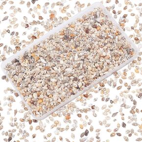 PH PandaHall 180 جم صدفة بحر صغيرة على الشاطئ المحيطي صدف حلزوني حرفية صدفة طبيعية من الخرز الطبيعي لصنع الشموع ديكور المنزل الصيف الشاطئ موضوع ديكور حفلات الزفاف ديكور خزان الأسماك حشو مزهرية
