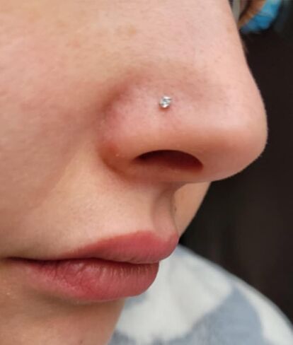 QWALIT Nose Studs & Rings - 18g & 20g Surgical Steel Nose Piercing Studs - Small, Threadless, L-Shaped - 18 & 20 Gauge - Silver, Gold, Black in Saudi Arabia