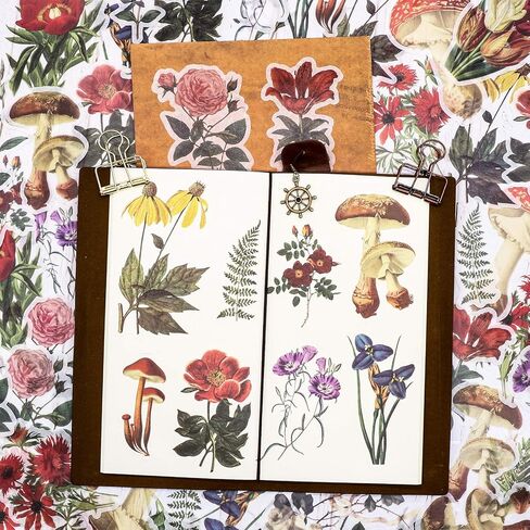 مجموعة ملصقات كبيرة من الزهور العتيقة (60 قطعة) - ملصقات واشي النباتية المزخرفة لسجل القصاصاصات، الحرف الفنية التي تصنعها بنفسك للأطفال، الألبوم، مجلة الرصاص، مجلة ايفيميرا، مخطط، لاب توب وتقويمات in Kuwait