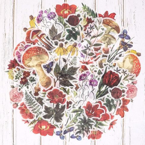 مجموعة ملصقات كبيرة من الزهور العتيقة (60 قطعة) - ملصقات واشي النباتية المزخرفة لسجل القصاصاصات، الحرف الفنية التي تصنعها بنفسك للأطفال، الألبوم، مجلة الرصاص، مجلة ايفيميرا، مخطط، لاب توب وتقويمات in Kuwait