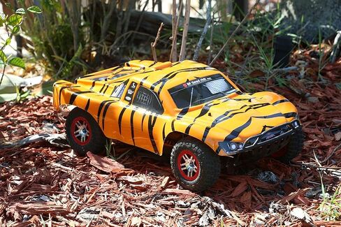 SummitLink Compatible Custom Body Tiger Style Replacement for 1/10 Scale RC Car or Truck (Truck not Included) SS-TA-01 in Saudi Arabia