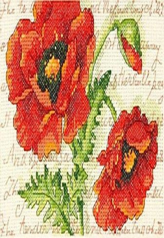 Dimensions Poppy Pair Counted Cross Stitch Kit, Floral Cross Stitch, 5" x 7" in Kuwait