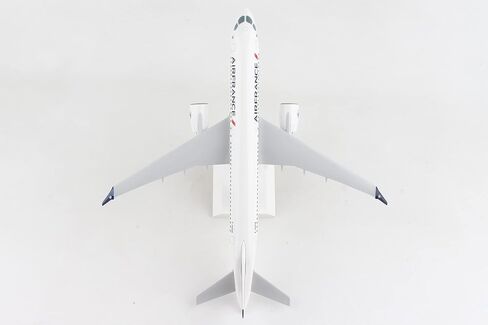 Daron SkyMarks Air France A220-300 1/100 (SKR1095) in Saudi Arabia