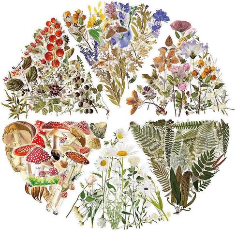 ملصقات يوميات عتيقة حزمة 240 قطعة، ملصق سجل القصاصات الجمالية النبات الطبيعية زهرة الفطر ملصق الفن رصاصة المجلات DIY ملصقا ، الزهور الجميلة الديكور ريترو الشارات in Kuwait