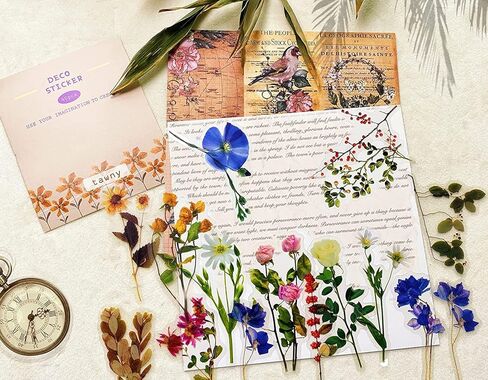 ملصقات يوميات عتيقة حزمة 240 قطعة، ملصق سجل القصاصات الجمالية النبات الطبيعية زهرة الفطر ملصق الفن رصاصة المجلات DIY ملصقا ، الزهور الجميلة الديكور ريترو الشارات in Kuwait