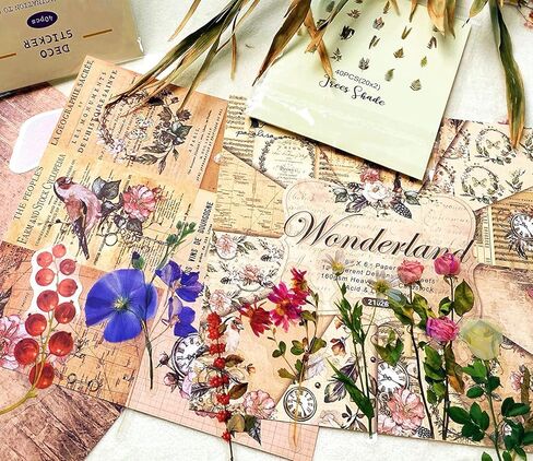 ملصقات يوميات عتيقة حزمة 240 قطعة، ملصق سجل القصاصات الجمالية النبات الطبيعية زهرة الفطر ملصق الفن رصاصة المجلات DIY ملصقا ، الزهور الجميلة الديكور ريترو الشارات in Kuwait