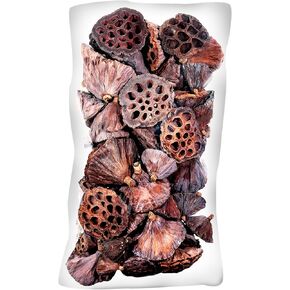 SuperMoss (20801 25-Piece Lotus Pods, Brown, Mixed