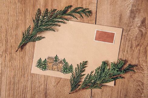 Christmas Tree Stamps and Dies for Card Making, Winter Pine Trees Words Cutting Die and Clear Stamps for Bullet Journal DIY Scrapbook Decoration Handmade Crafts Notebook in Kuwait