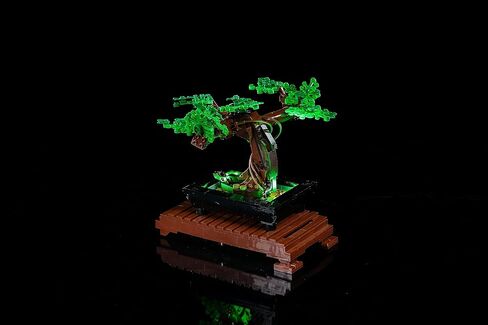 بريك لوت مجموعة اضاءة LED فاخرة فقط لشجرة بونساي النباتية الخاصة بك 10281 (ملاحظة: الموديل غير متضمن) in Kuwait