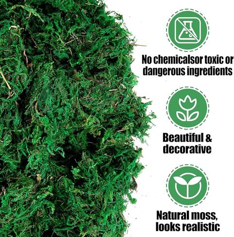 Alphatool 35OZ Large Capacity Fake Moss for Crafts - Artificial Moss for Potted Plants Indoor, Faux Fresh Green Moss Decor for Micro-Landscape Terrarium in Kuwait