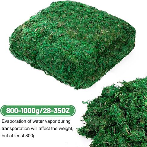 Alphatool 35OZ Large Capacity Fake Moss for Crafts - Artificial Moss for Potted Plants Indoor, Faux Fresh Green Moss Decor for Micro-Landscape Terrarium in Kuwait