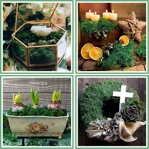 Alphatool 35OZ Large Capacity Fake Moss for Crafts - Artificial Moss for Potted Plants Indoor, Faux Fresh Green Moss Decor for Micro-Landscape Terrarium in Kuwait