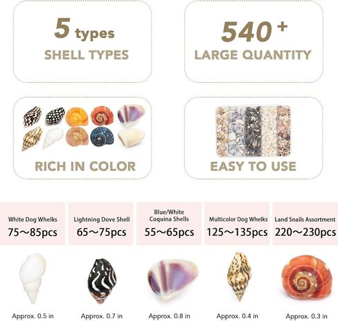Natural Tiny Shells Mix, 5 Types of 0.5-inch Natural Beach Sea Shell for Resin Projects, Vase Filler, Art Crafts Jewellery and Home/Wedding Table Decoration Display. in Kuwait
