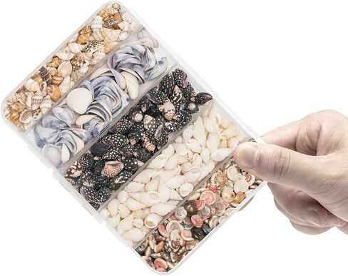 Natural Tiny Shells Mix, 5 Types of 0.5-inch Natural Beach Sea Shell for Resin Projects, Vase Filler, Art Crafts Jewellery and Home/Wedding Table Decoration Display. in Kuwait
