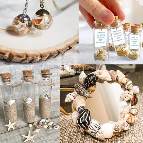 Natural Tiny Shells Mix, 5 Types of 0.5-inch Natural Beach Sea Shell for Resin Projects, Vase Filler, Art Crafts Jewellery and Home/Wedding Table Decoration Display. in Kuwait