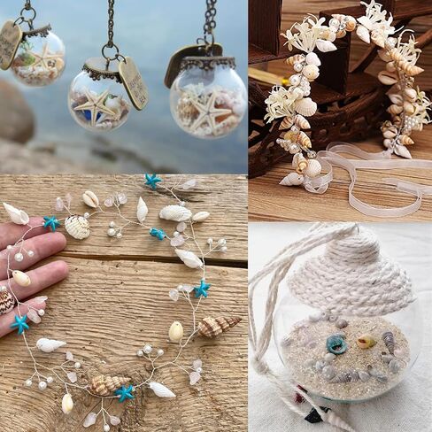 Natural Tiny Shells Mix, 5 Types of 0.5-inch Natural Beach Sea Shell for Resin Projects, Vase Filler, Art Crafts Jewellery and Home/Wedding Table Decoration Display. in Kuwait