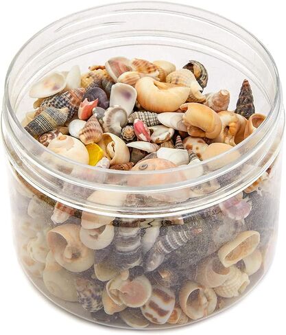 Juvale Tiny Craft Spiral Seashells for DIY Crafts, Home Decor (0.4-1 Inches, 180 Grams) in Saudi Arabia