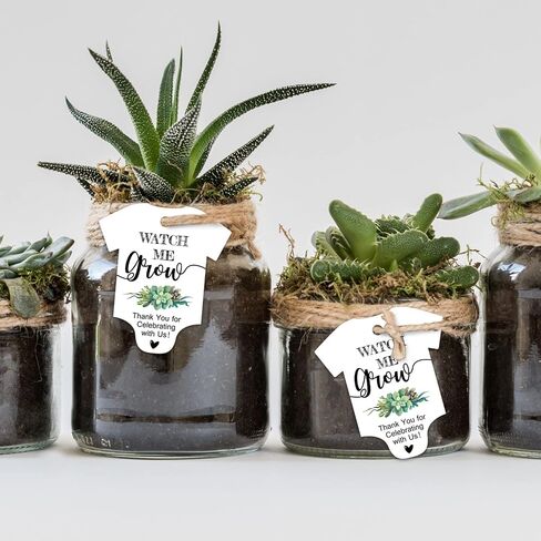Watch Me Grow Tags for Baby Shower Succulents, Baby Shower Thank You Tags, Baby Shower Favor Tags, 50 Pack with Golden Ribbon. in Saudi Arabia