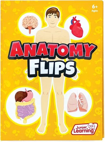 Junior Learning JL647 Anatomy Flips, Multi in Saudi Arabia