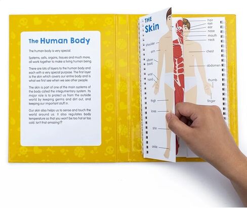 Junior Learning JL647 Anatomy Flips, Multi in Saudi Arabia